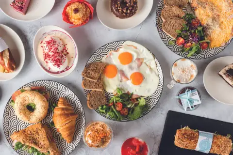 Tejmadár – 20% student discount